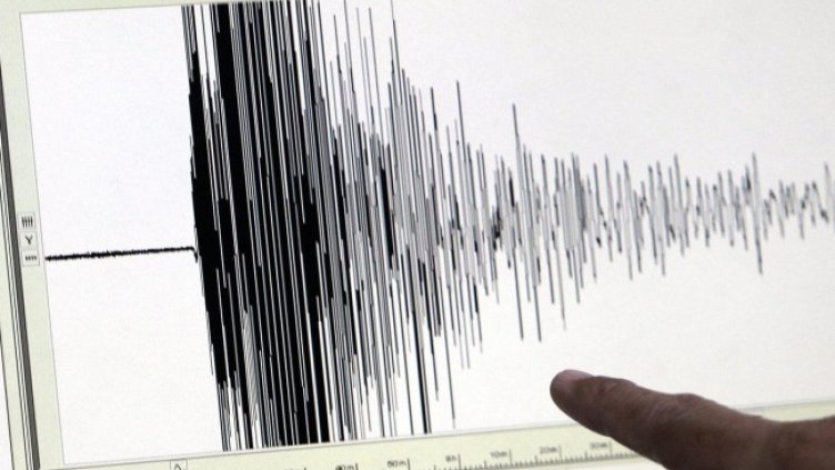 Снимка: архив, БГНЕС