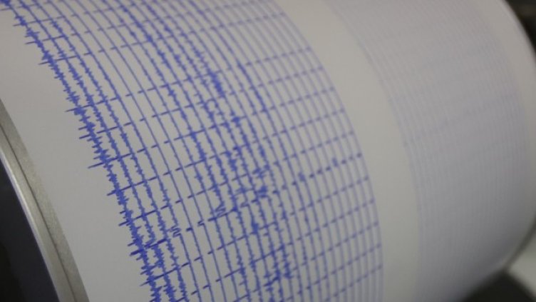 Снимка: архив, БГНЕС