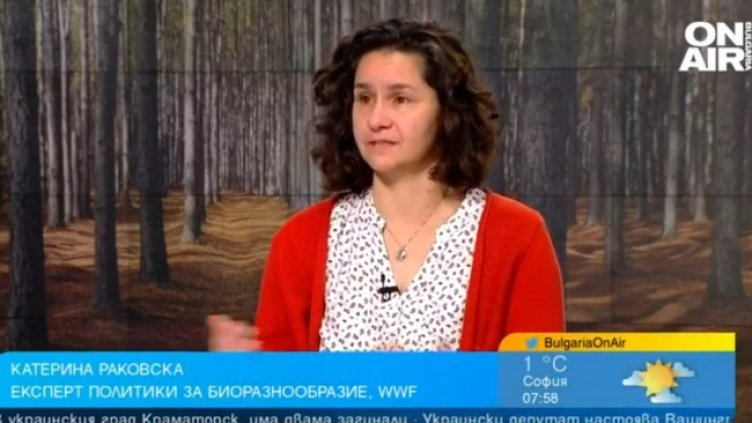 Снимка: Bulgaria ON AIR