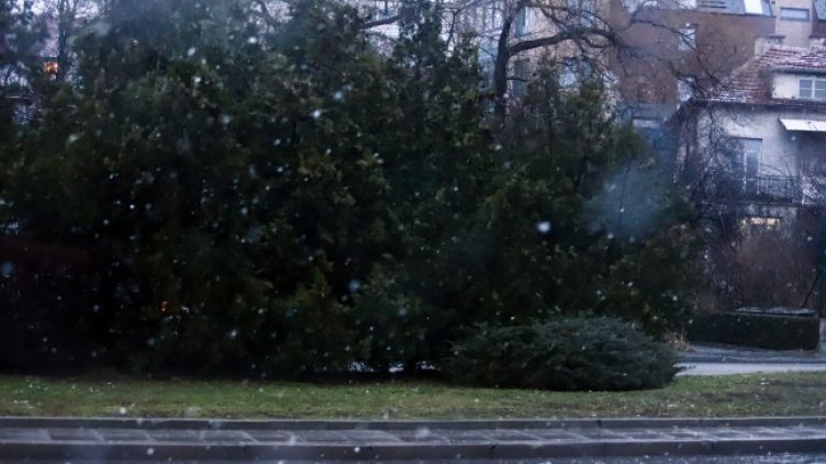 Снимка: БГНЕС