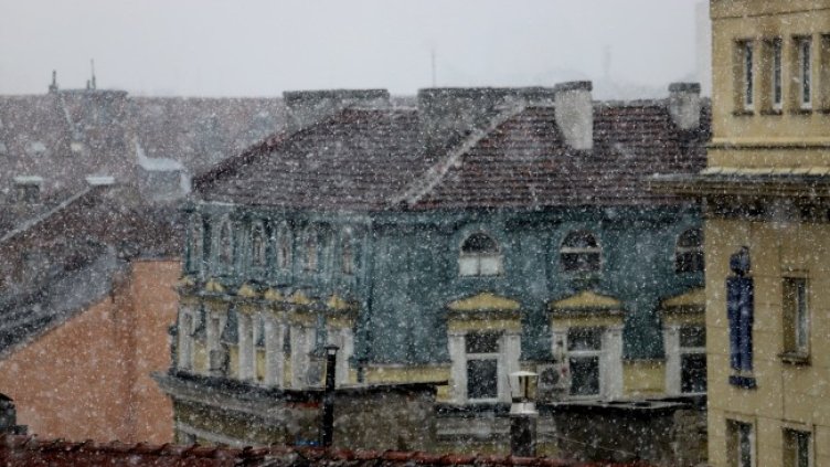 Снимка: БГНЕС