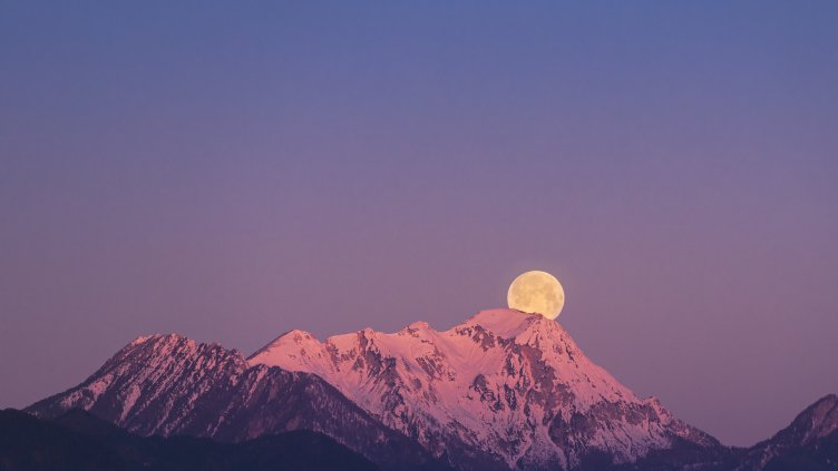 Снимка: Pexels/Johann Piber