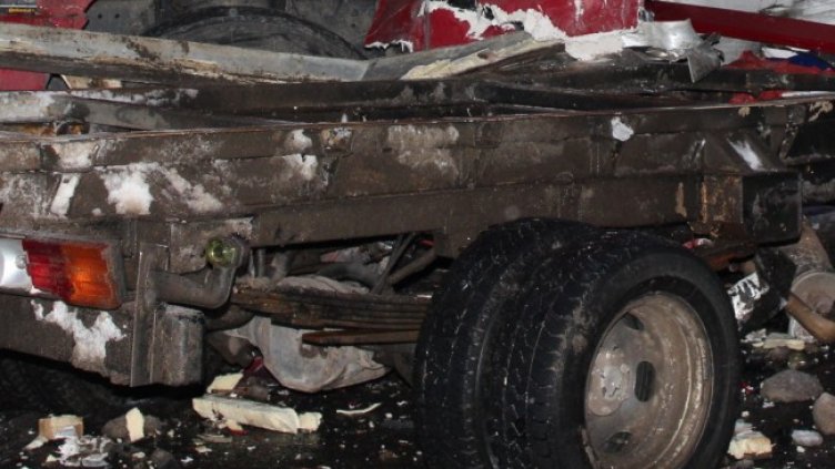 Снимка: архив, БГНЕС