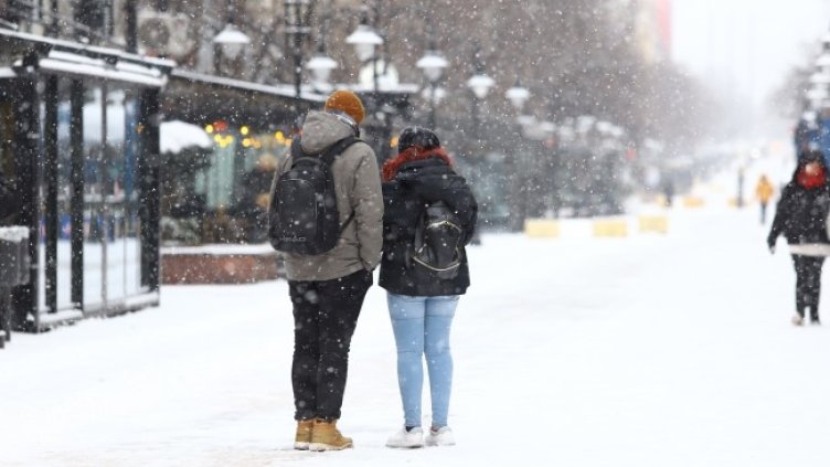 Снимка: архив, БГНЕС