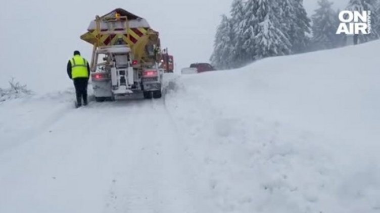 Хиляди без ток заради снега, вятърът събори дървета във Варна
