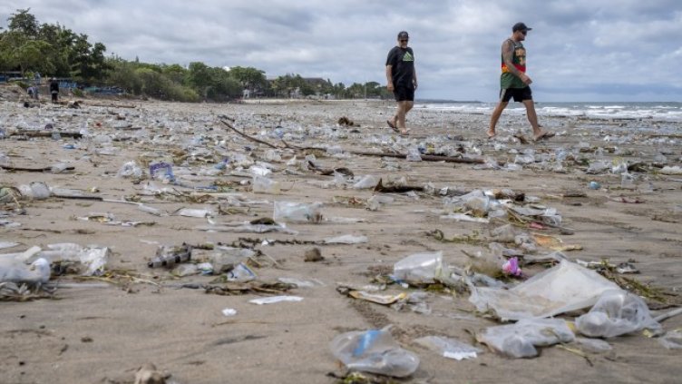 Снимка: архив, БГНЕС