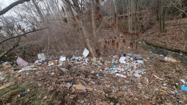 Снимка: Helpbook