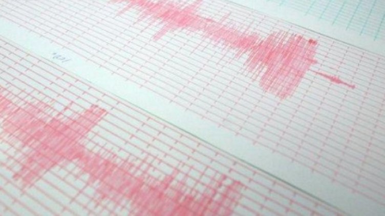 Снимка: архив, БГНЕС