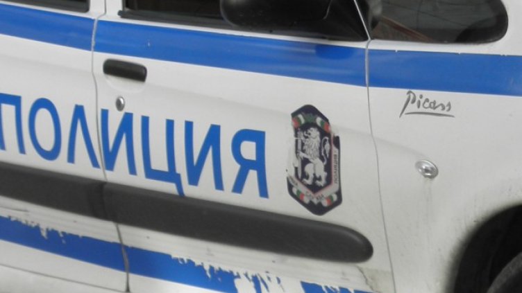 Снимка: архив, БГНЕС