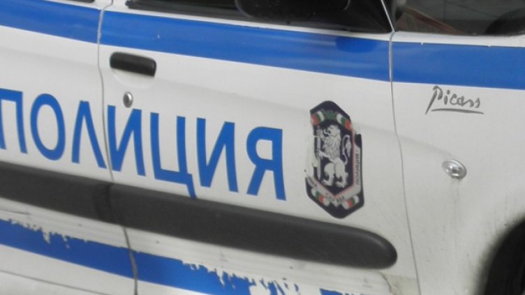 Снимка: архив, БГНЕС