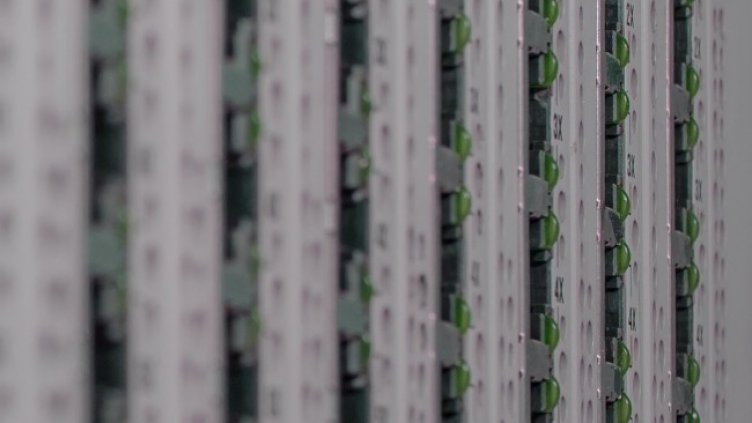 Снимка: Pixabay