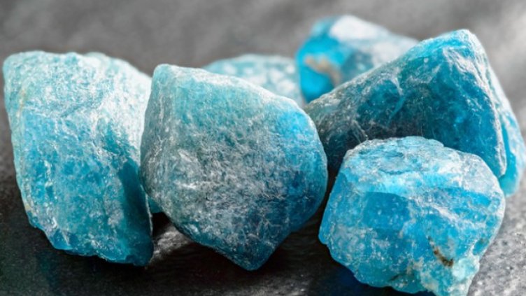 Снимка: Istock