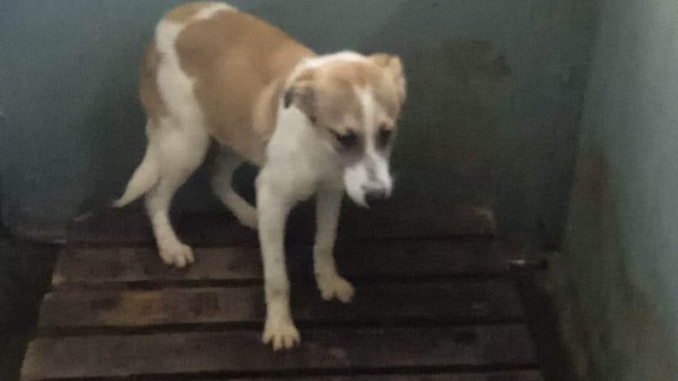 Снимка: Helpbook