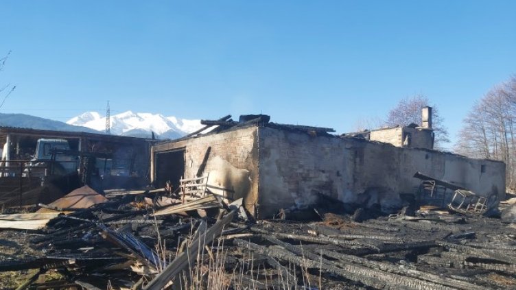 Снимка: БГНЕС