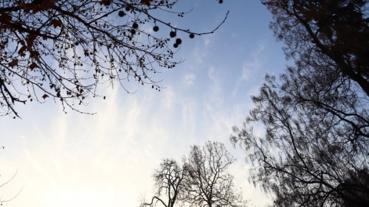 Снимка: архив, БГНЕС