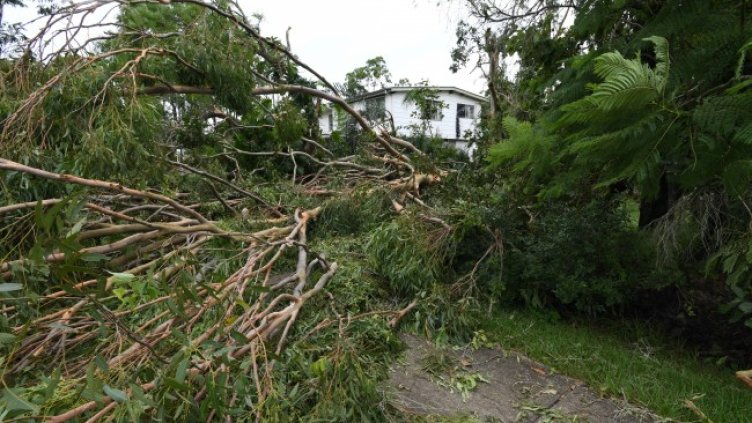 Снимка: архив, БГНЕС