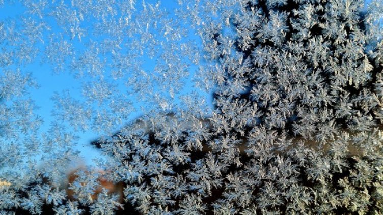 Снимка: архив, БГНЕС