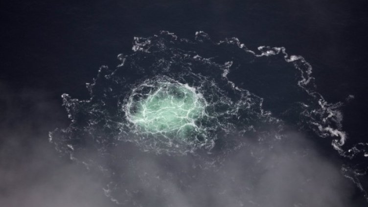 Снимка: архив, БГНЕС