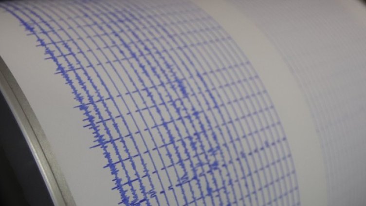 Снимка: архив, БГНЕС