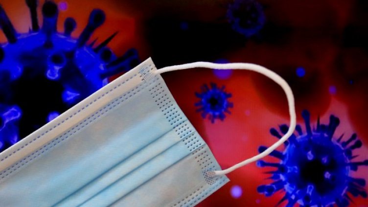 Снимка: архив, БГНЕС