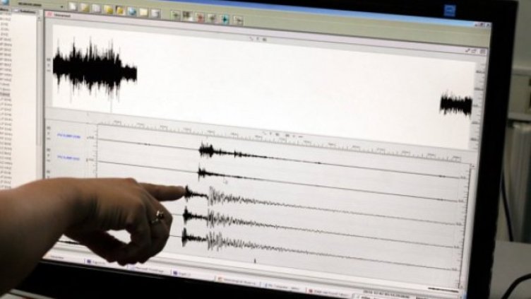 Снимка: архив, БГНЕС