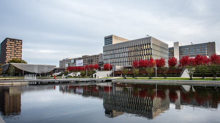 Български стратег спечели глобалното лидерско състезание на Procter & Gamble