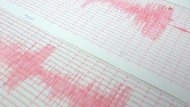 Снимка: архив, БГНЕС