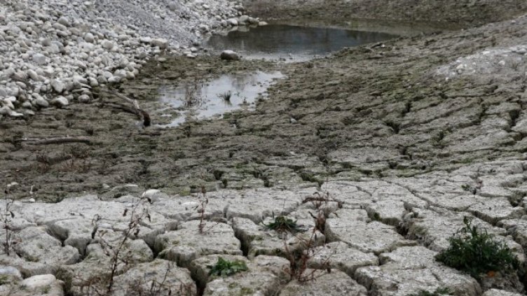 Снимка: архив, БГНЕС