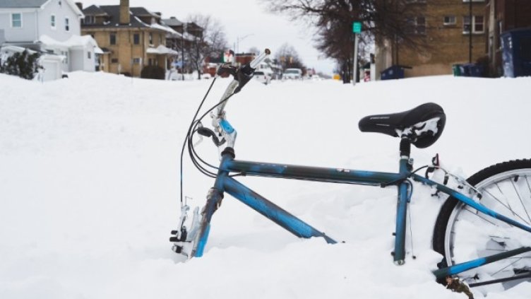 Снимка: архив, БГНЕС