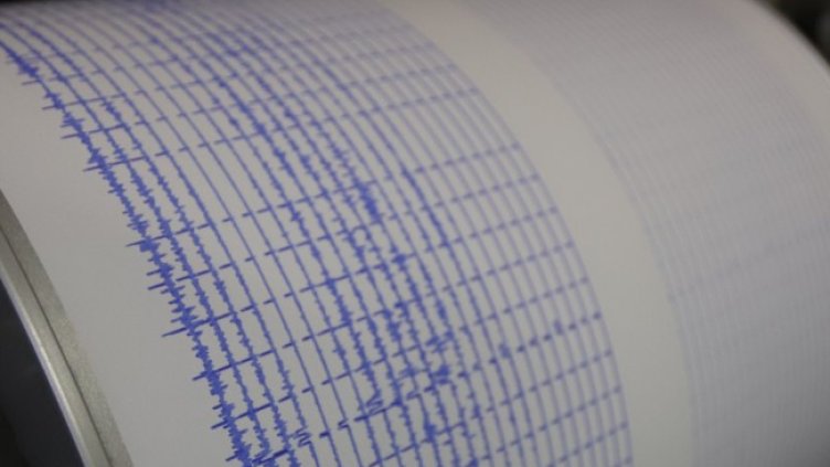 Снимка: архив, БГНЕС