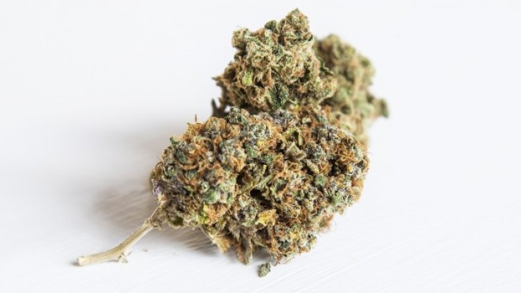 Снимка: Pixabay