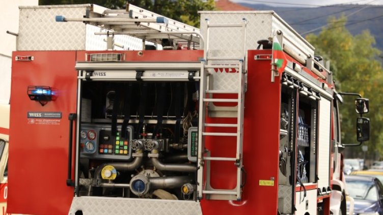 Снимка: БГНЕС