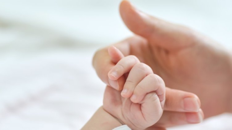 Снимка: Pixabay