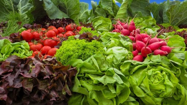 Снимка: Pixabay