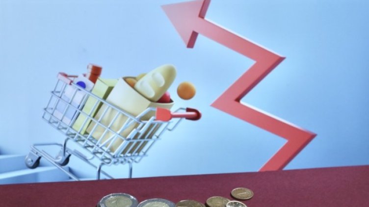 Снимка: архив, БГНЕС