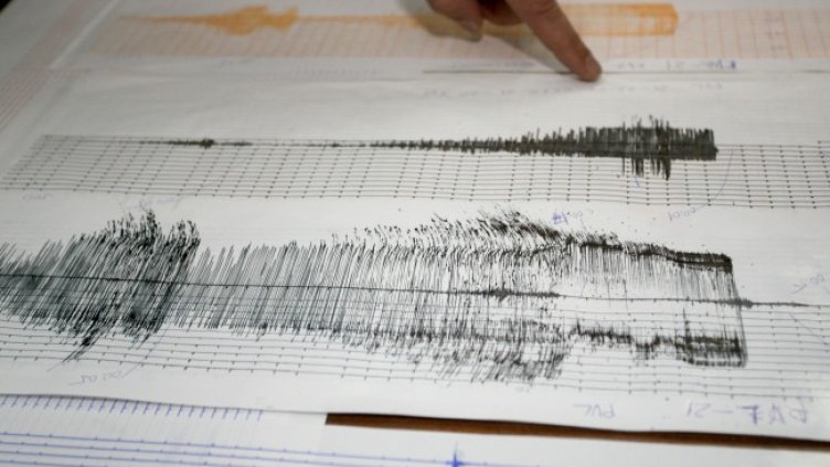 Снимка: архив, БГНЕС