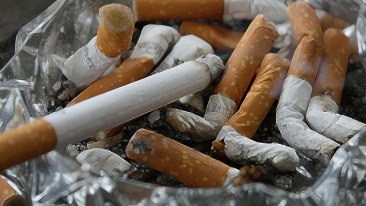 Снимка: Pixabay