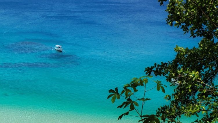 Снимка: БГНЕС/EPA