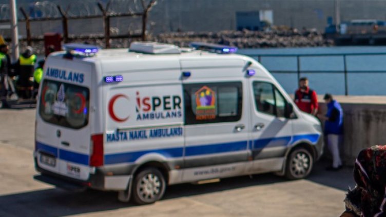 Снимка: архив, БГНЕС