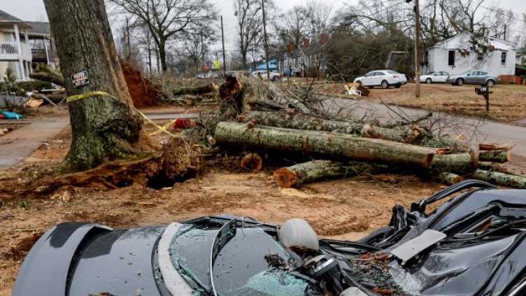 Снимка: архив, БГНЕС