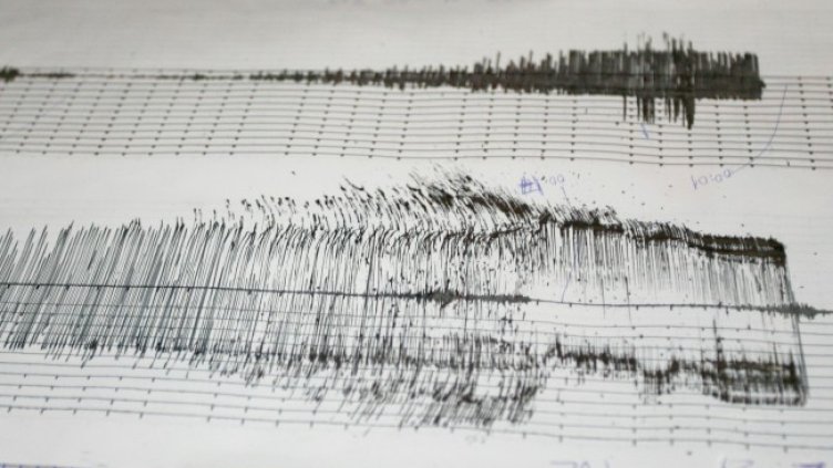 Снимка: архив, БГНЕС