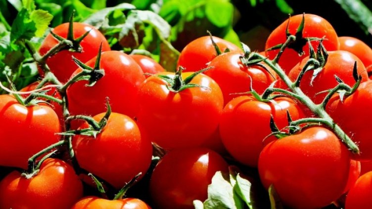 Снимка: Pixabay