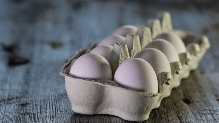 Снимка: Pixabay