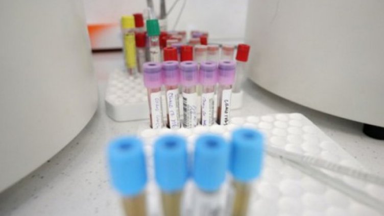 Снимка: Димитър Кьосемарлиев