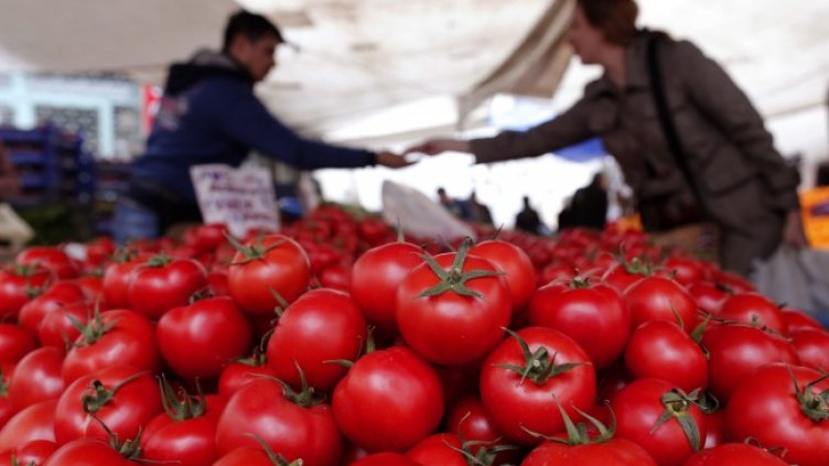 Снимка: архив, БГНЕС