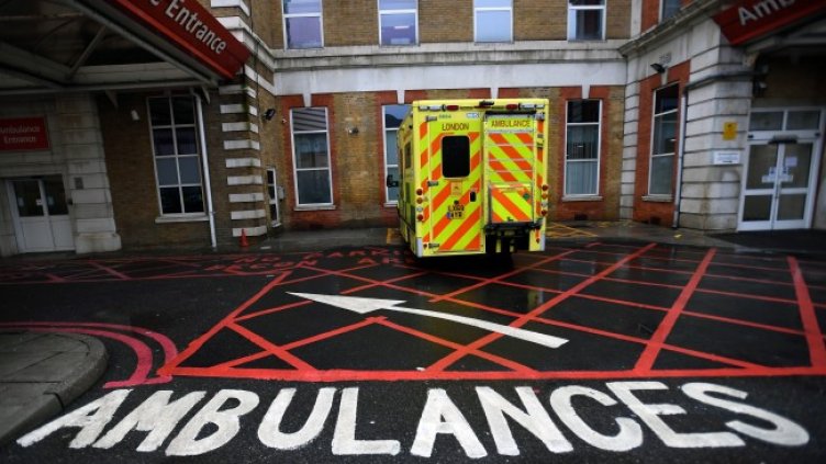 Снимка: архив, БГНЕС