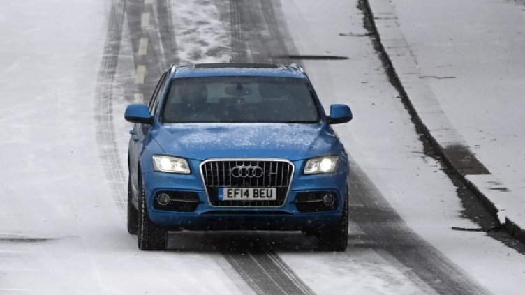 Снимка: архив, БГНЕС