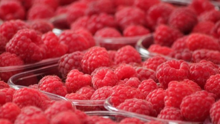 Снимка: Pixabay