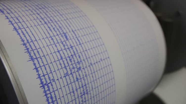 Снимка: архив, БГНЕС