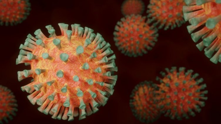 Снимка: Pixabay